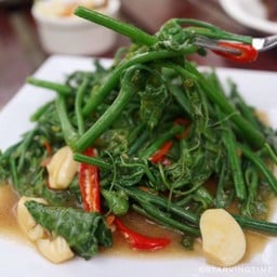 ยอดมะระไฟแดง