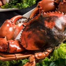 ปูทะเลนึ่ง M