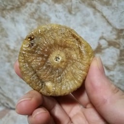 ออแกนิควา