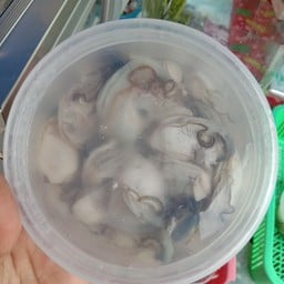 เสี่ยมอสสุรินทร์ดีเซล