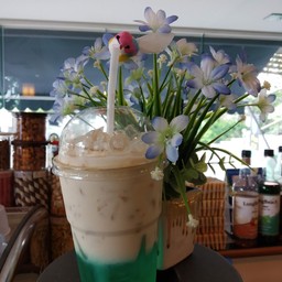 นมสดมิ้นท์