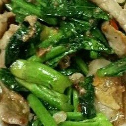 ผัดคะน้าหมูนุ่มราดข้าว