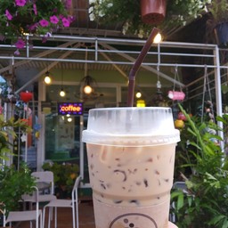 โอวัลตินนมสด