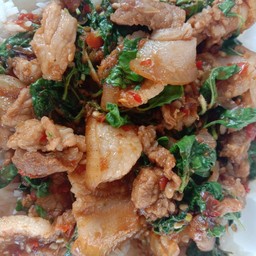 หมูป่าผัดกระเพรา