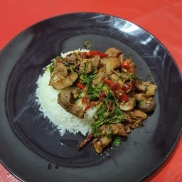 กระเพราเครื่องในไก่ราดข้าว