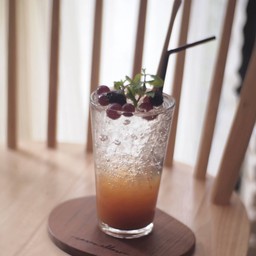 Kombucha Mangosteen Soda