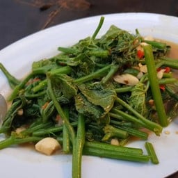 ยอดมะระหวานไฟแดง