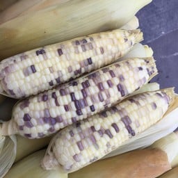 ข้าวโพดขาว ม่วง