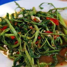 ผักกระเฉดไฟแดง