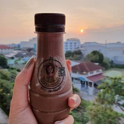 โกโก้นมสด