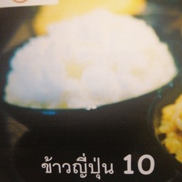 ข้าวญี่ปุ่น rice