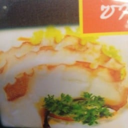 หนวดหมึกไอโกะ Aiko