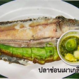 ปลาช่อนเผา