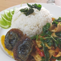 ข้าวกระเพาไก่ไข่เยี่ยวม้า XL