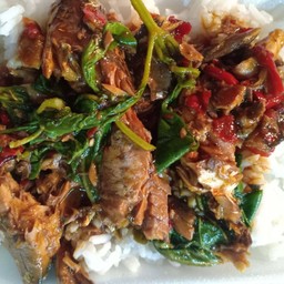 ผัดกะเพราปลากระป๋อง