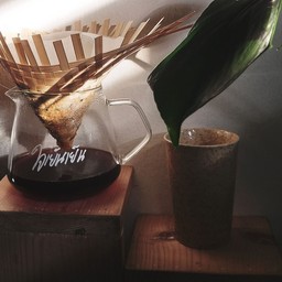 เมล็ดกาแฟ KENYA KIRINYAGA WASHED PROCESS / เย็น