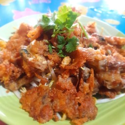 หอยทอดธรรมดา