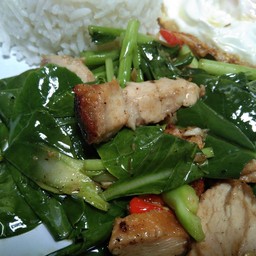 Stir Fried with Kale