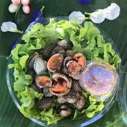 โบตั๋น ขายหอย รามคำแหง  ทาวน์อินทาว ลาดพร้าว บางกะปิ