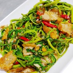 กระเฉดไฟแดง