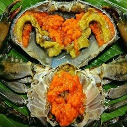 ตังเก ซีฟู้ด ปูดอง "สดจากเรือเรา ถึงมือคุณ"