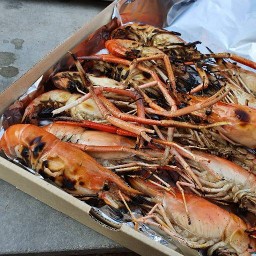 กุ้งเผา โกดังกุ้งอินเนอร์ไลน์กรุงเทพ