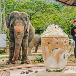 Elephant Jungle Cafe