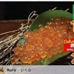 ไข่ปลาแซลมอน ซาซิมิ
