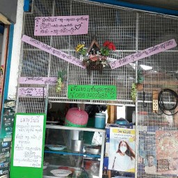 เจ๊แมวแซ่บสุดซอย