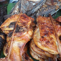 ไก่ย่าง ใหญ่