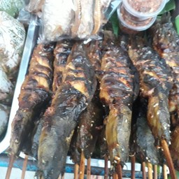 ปลาดุกย่าง