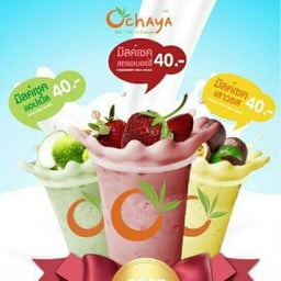 มิลค์เชคเสาวรส