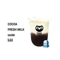 นมสดโกโก้