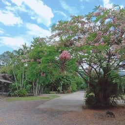 เยรูซาเล็ม เชียงใหม่ สถานที่พักและจัดงานสัมมนา