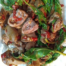 ผัดกะเพราเครื่องในไก่