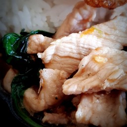 ข้าวราดหมูชิ้นโหระพา