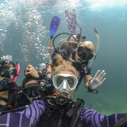 Already a certified diver?  Go fun diving with your buddies