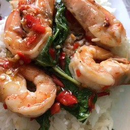 ข้าวราดกะเพรา