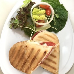Panini Caprese (Tomatoes+Mozzarellas+Basil)