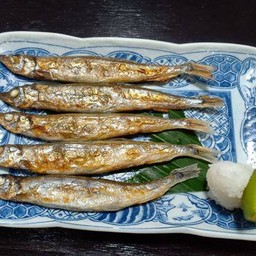 Shisamo yaki Shio -Teri