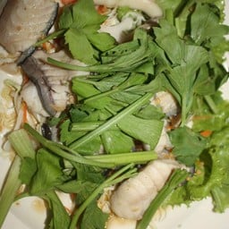 เนื้อปลาคัง