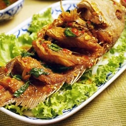 ปลาเก๋าราดพริก Deep Fried Grouper Topped with Chili Sauce