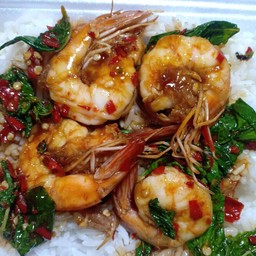 ผัดกะเพรากุ้ง