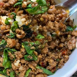 ผัดกะเพราหมูสับกระเทียมโทน