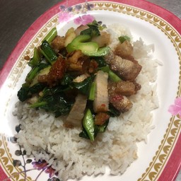 ข้าวราดผัดคะน้า