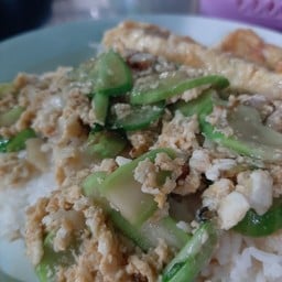 ผัดแตงกวา ราดข้าว