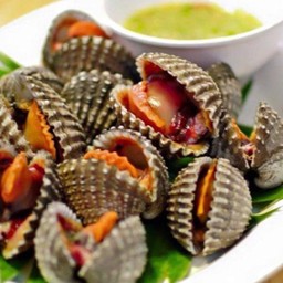 เอวาทะเลดอง