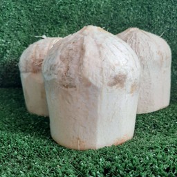 มะพร้าวน้ำหอมแช่เย็น