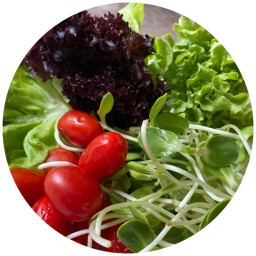 Avocado DD อะโวคาโด้ดีดี หมู่บ้านธารารินทร์ ซอย 2