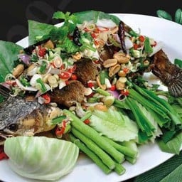 ปลาทับทิมลุยสวน